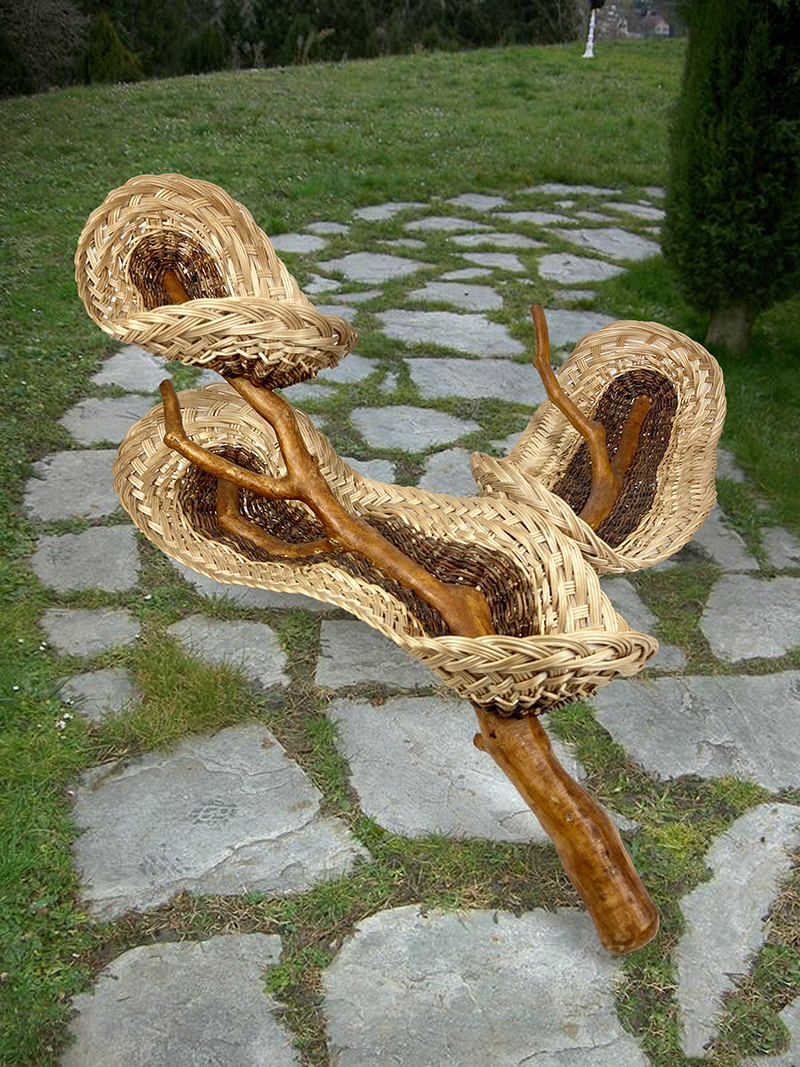 Vannerie & bois